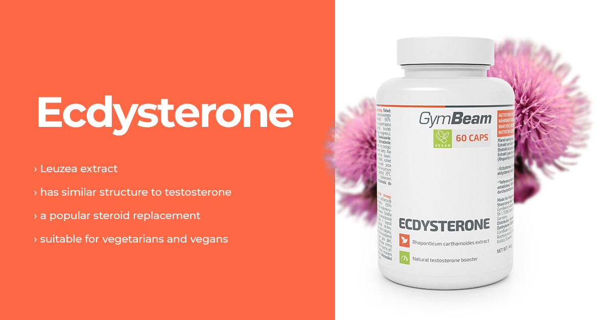 Ecdysterone - Gymbeam